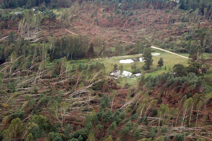 skvalas-2010